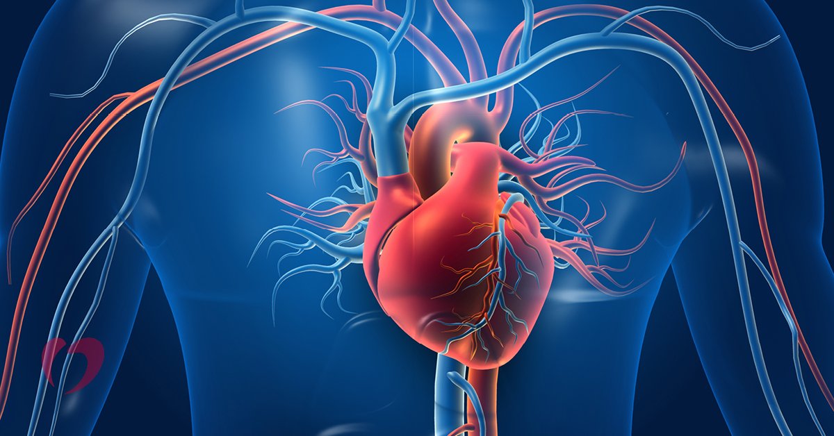 Vascular Surgeries