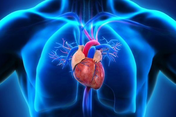 cardiologie-concilio-votre-conciergerie-medicale_718x452 cardiologie-concilio-votre-conciergerie-medicale_718x452