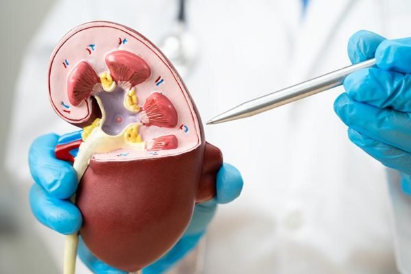 nephrology&dialysis