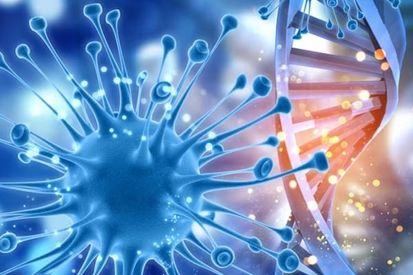 oncology oncology