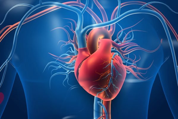 vascular-surgery-what-you-need-to-know vascular-surgery-what-you-need-to-know